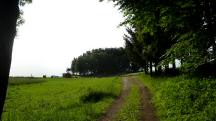  Blick auf die Wanderstrecke zur 2. K+L 