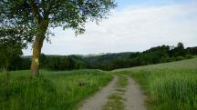  Blick auf die Wanderstrecke 