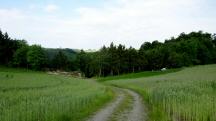  Blick auf die Wanderstrecke 
