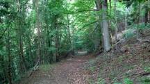  Blick auf die Wanderstrecke 