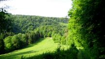  Blick auf die Wanderstrecke 