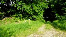  Blick auf die Wanderstrecke 