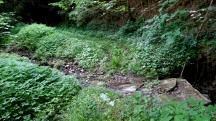  Blick auf die Wanderstrecke beim Scheutzbach 