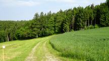  Blick auf die Wanderstrecke 