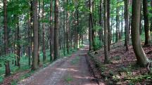  Blick auf die Wanderstrecke 