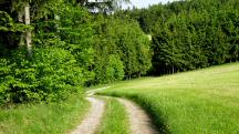  Blick auf die Wanderstrecke 