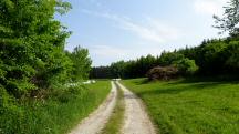  Blick auf die Wanderstrecke 