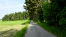 Blick auf die Wanderstrecke entlang der Riede Ladingseck 