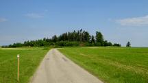 Blick auf die Wanderstrecke in der Riede Ladingseck 