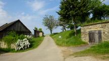  Blick auf die Wanderstrecke in Ladings 