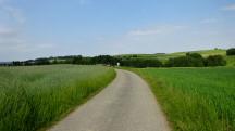  Blick auf die Wanderstrecke 