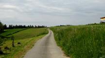  Blick auf die Wanderstrecke bei Ebergersch 