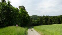  Blick auf die Wanderstrecke 