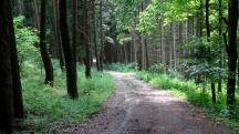  Blick auf die Wanderstrecke 