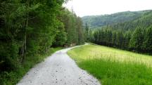  Blick auf die Wanderstrecke durch die Riede Geiruck 