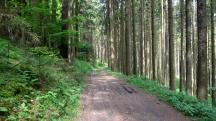  Blick auf die Wanderstrecke 