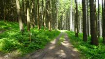  Blick auf die Wanderstrecke 