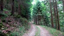  Blick auf die Wanderstrecke 