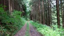  Blick auf die Wanderstrecke 