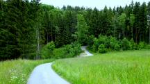  Blick auf die Wanderstrecke 
