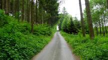  Blick auf die Wanderstrecke 