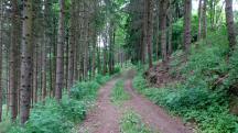  Blick auf die Wanderstrecke 