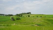 nochmals ein Fernblick zum Aussichtspavillon Albrechtsberg 