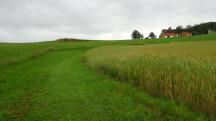  Blick auf die Wanderstrecke 