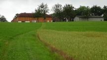  Blick auf die Wanderstrecke 