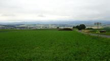  schöner Fernblick nach St. Leonhard am Forst 