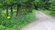  Blick auf die Wanderstrecke 
