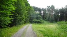  Blick auf die Wanderstrecke 