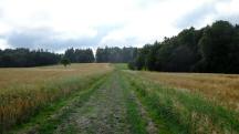  Blick auf die Wanderstrecke 