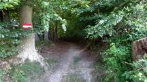  Blick auf die Wanderstrecke 