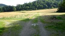  Blick auf die Wanderstrecke 