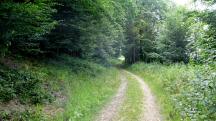  Blick auf die Wanderstrecke 