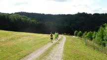  Blick auf die Wanderstrecke bei der Streusiedlung Kühberg 