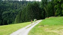  Blick auf die Wanderstrecke bei der Streusiedlung Kühberg 