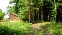  Blick auf die Wanderstrecke 