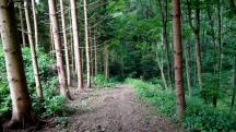  Blick auf die Wanderstrecke 