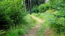  Blick auf die Wanderstrecke 