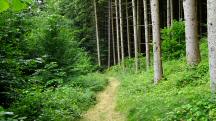  Wanderroute durch den Eselsteiggraben 