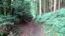 Wanderroute durch den Eselsteiggraben 
