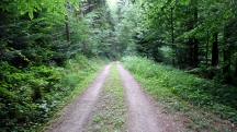  Wanderroute auf den Güterweg Pühra 