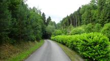  Wanderroute auf den Güterweg Pühra 