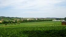  Fernblick nach Growetzdorf 