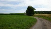  Blick auf die Wanderstrecke 