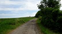  Blick auf die Wanderstrecke 