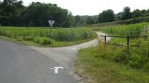  Blick auf die Wanderstrecke 