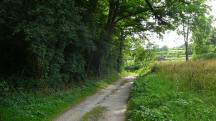  Blick auf die Wanderstrecke 